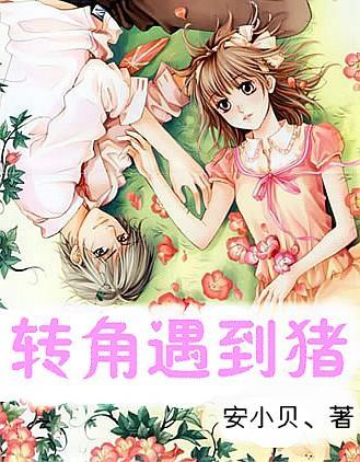 新高达破坏者